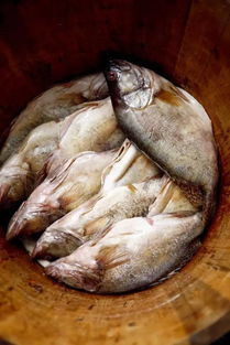 徽菜 一份鄉情,一份美好 美食 網