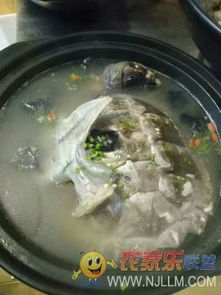 歙縣三陽鎮紫云山莊