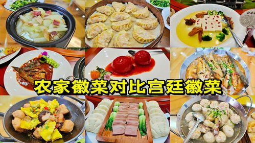 王哥大神被邀請參與徽菜預制菜和農產品深加工項目,品嘗新老徽菜