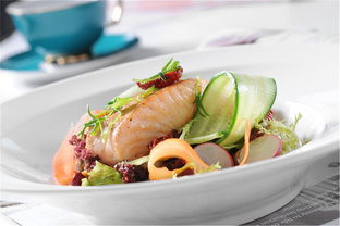 成都菜譜制作設計公司電話 優選捷達菜譜設計公司