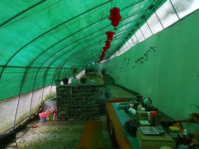 石門:彰顯紅色 筑牢綠色