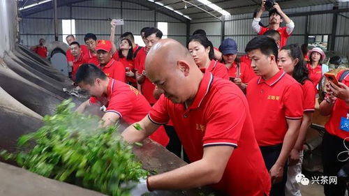 來扒一扒 皓品班章 如此受歡迎 這里面有3個不能說的秘密