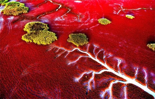 橙黃橘綠 鄉村勝景——全國鄉村旅游精品線路（上篇） 原生態徽菜之旅