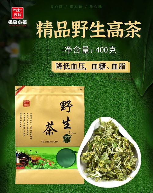 品味自然之韻 皖南高山野茶與徽菜的原生態魅力