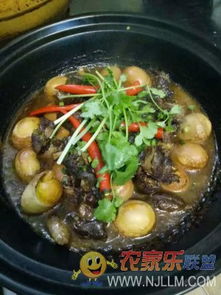 歙縣三陽(yáng)鎮(zhèn)紫云山莊 品味原汁原味的徽州山野風(fēng)味